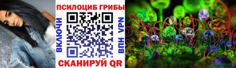 Купить  Суздаль  Галлюциногенные грибы MAGIC MUSHROOMS 
